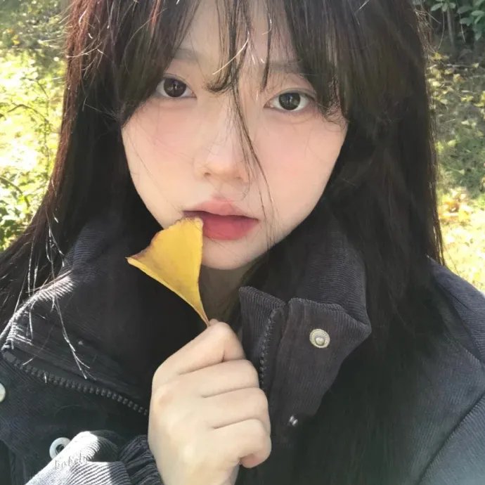 茶啊二中第三季